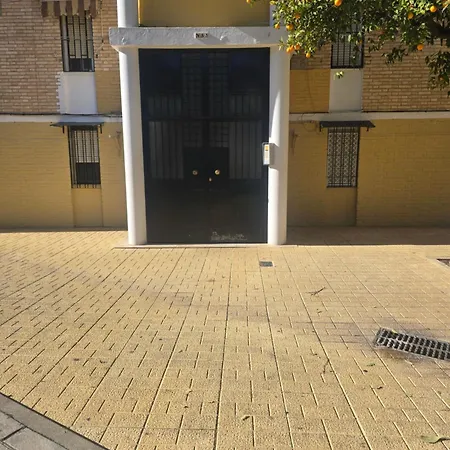 Rosa * Cordoba